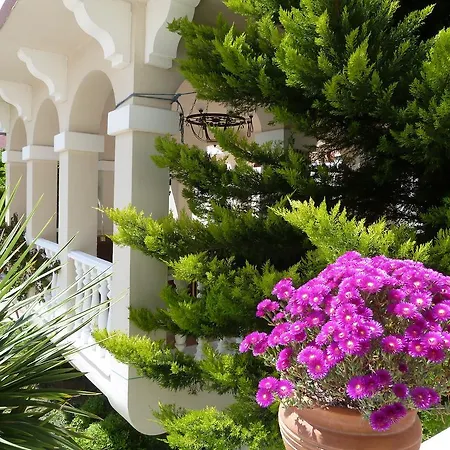 Resort Garden Bergamot